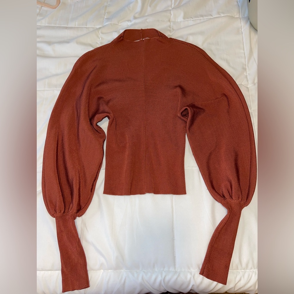 Zara Rust Balloon Sleeve Top